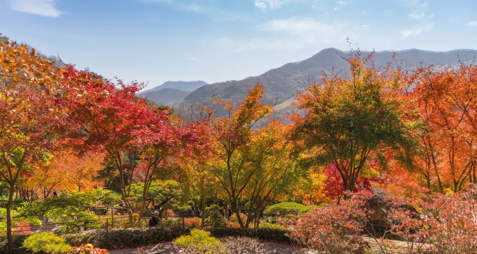 화담숲-온라인-예약_01