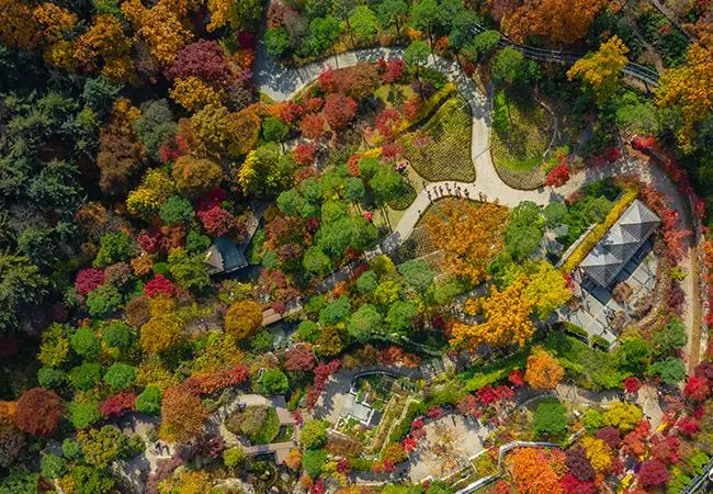 화담숲-온라인-예약_02