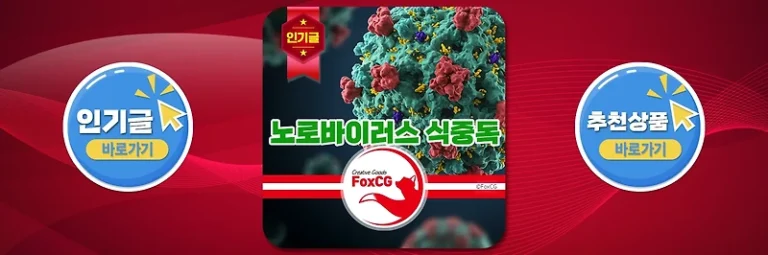 노로바이러스 식중독 증상 전염성과 특징 예방법