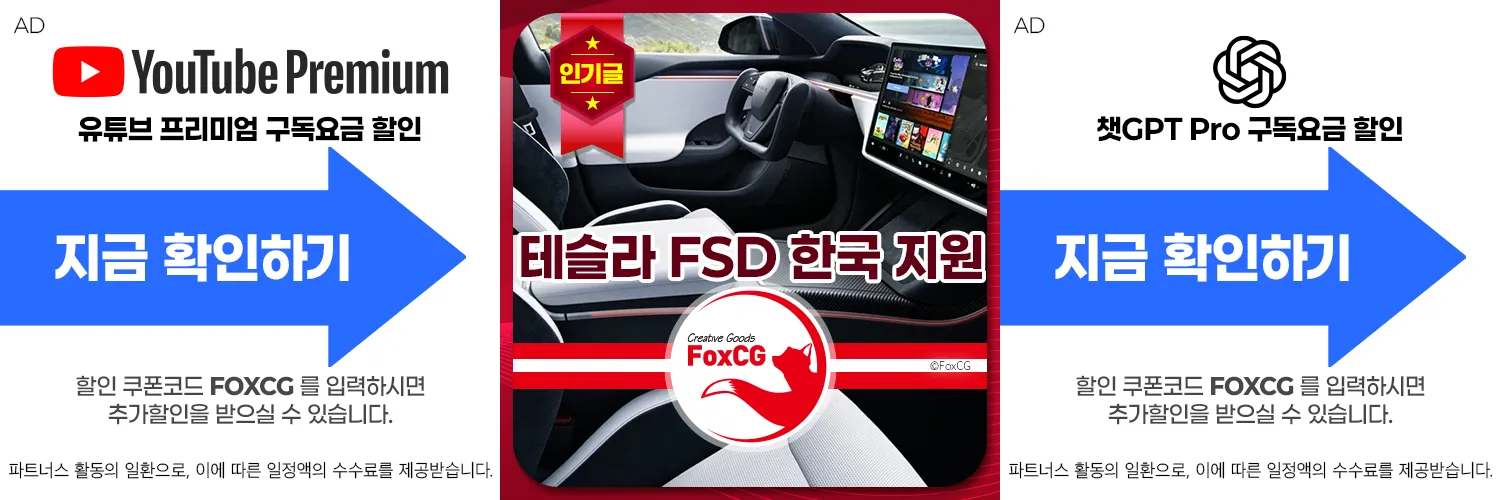 테슬라 FSD 한국 지원