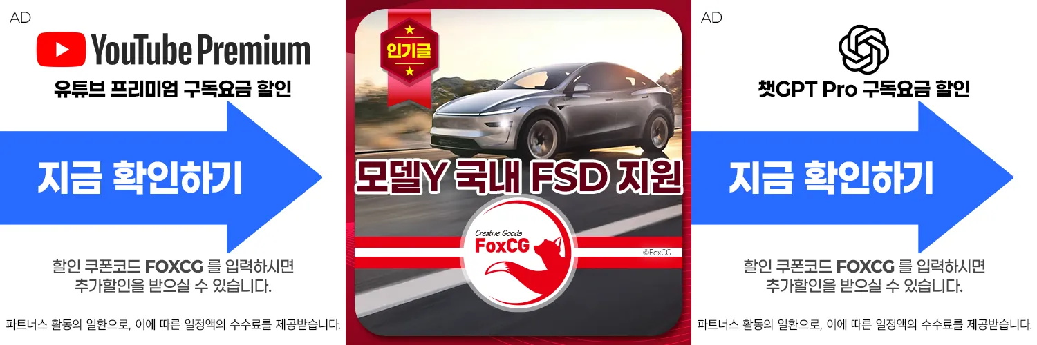 모델Y 국내 FSD 지원