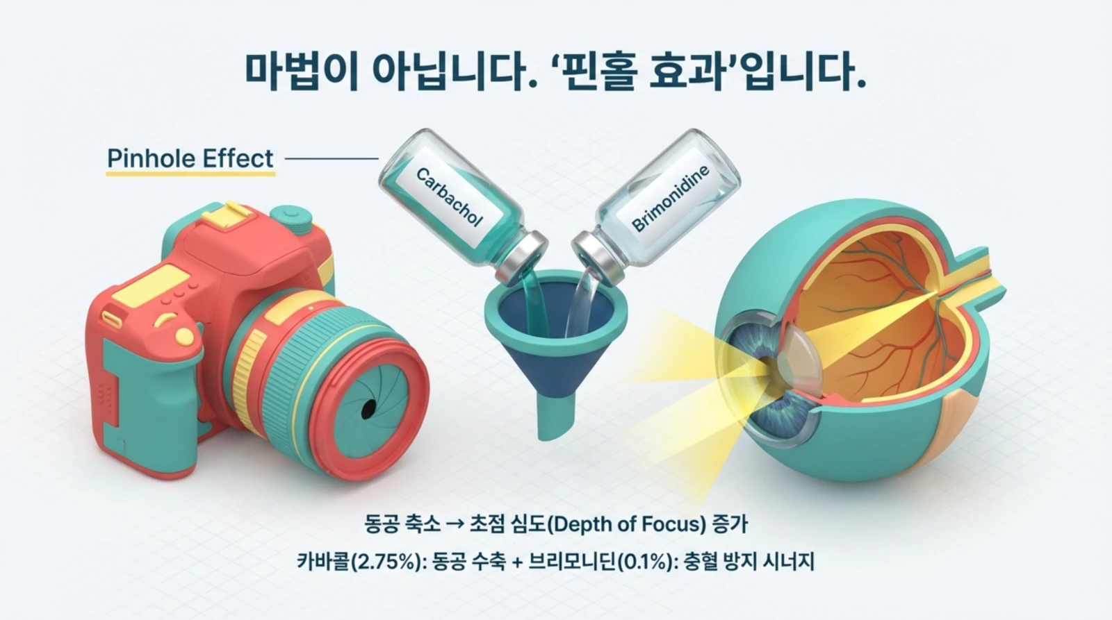 카메라, 눈의 구조, 약병, 핀홀 효과를 설명하는 다이어그램.