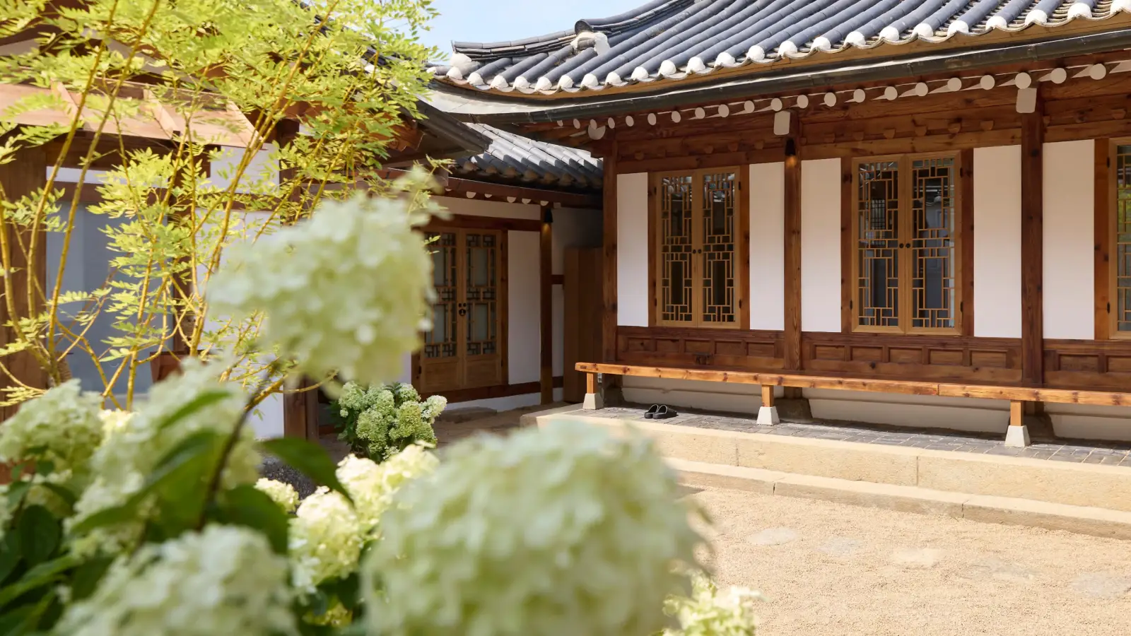 한옥 마당에 수국과 나무가 어우러져 전통적인 분위기를 자아내며, 고즈넉한 분위기 속에서 한국 전통 가옥의 아름다움이 느껴진다.