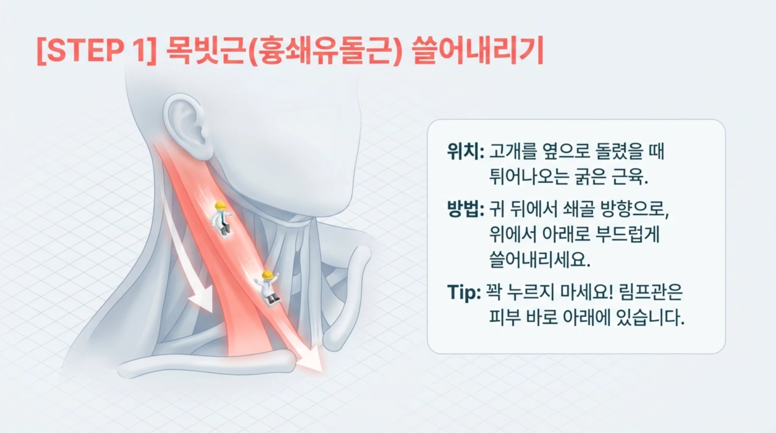 목빗근 위치와 마사지 방법을 설명하는 안내 이미지, 목의 근육과 화살표, 작업자 캐릭터가 강조되어 있다.