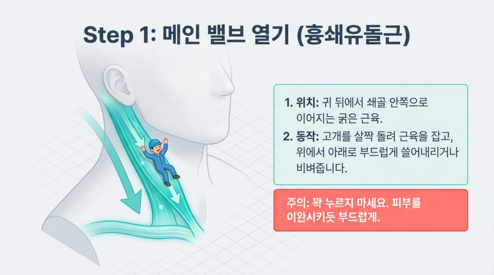 목 근육 마사지 방법을 설명하는 그림과 단계, 주의사항, 귀 뒤에서 쇄골까지의 근육 위치 안내.