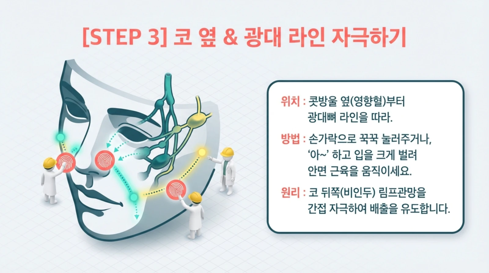 만화 스타일의 얼굴 그림과 림프 마사지 단계 설명, 얼굴의 혈관과 마사지 지점, 작업자 일러스트가 함께 그려져 있다.