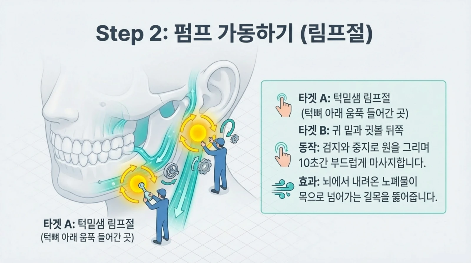 두경부 림프절 위치와 마사지 방법, 효과를 설명하는 일러스트와 한국어 지침이 나와 있는 교육 이미지.
