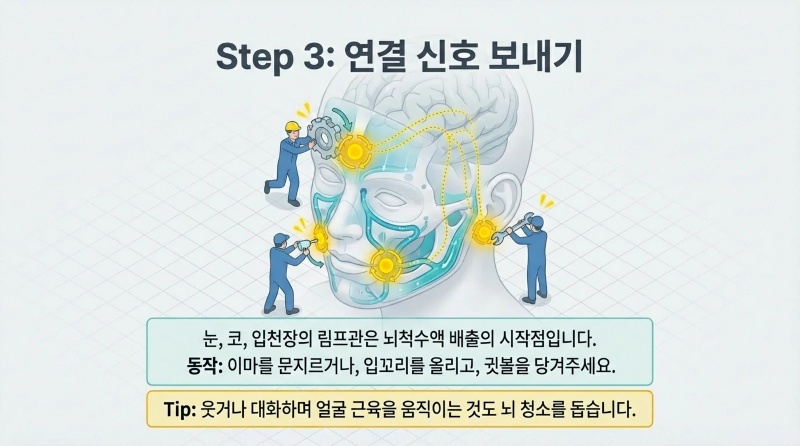 사람 얼굴의 주요 부위를 작은 작업자들이 수리하며, 얼굴 근육과 뇌 연결을 보여주는 일러스트와 설명 텍스트.