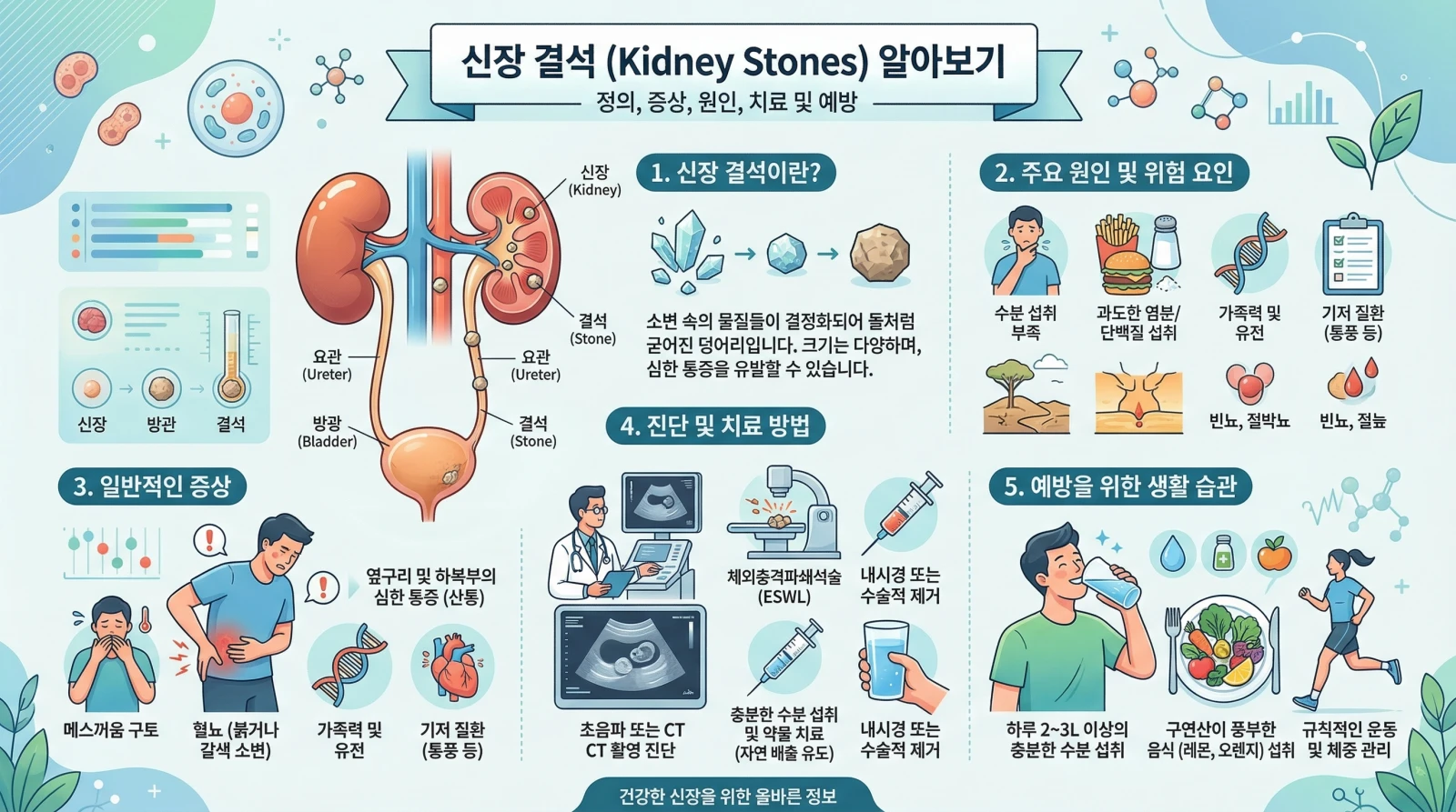 신장 결석의 원인, 주요 증상, 예방 방법을 일러스트와 함께 안내하며, 건강한 신장 관리와 식습관 및 운동의 중요성을 강조하는 인포그래픽