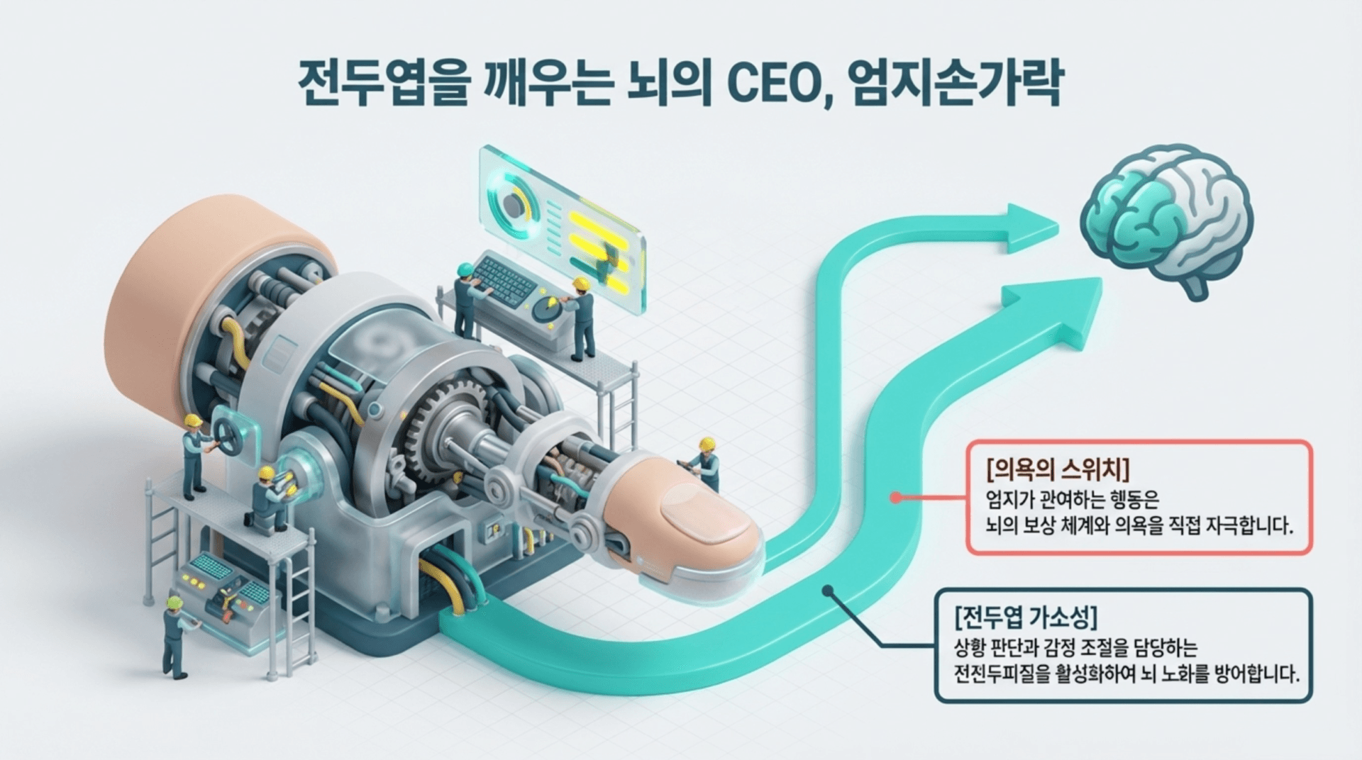전두엽 기능을 개선하는 메커니즘을 설명하는 이미지로, 작업자들이 복잡한 기계 장치에서 뇌의 CEO 역할을 하는 전두엽을 조정하는 모습이 담겨 있습니다. 이 이미지는 전두엽 가소성과 의욕의 스위치 개념을 시각적으로 표현하고 있습니다.