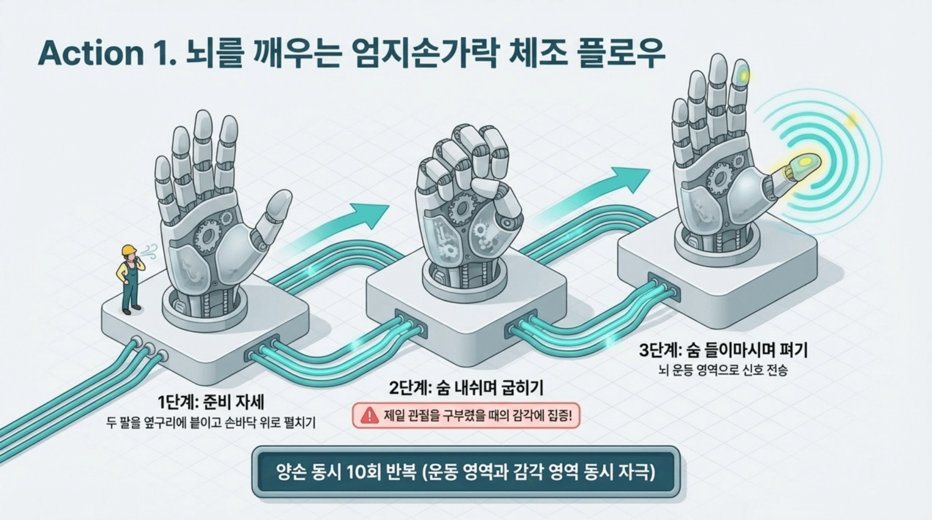 뇌를 깨우는 엄지손가락 체조 플로우 과정 설명, 1단계 준비 자세, 2단계 손 내쉬며 굴리기, 3단계 손 들이마시며 펴기 포함. 운동 및 감각 영역 동시 자극을 위한 10회 반복 권장.