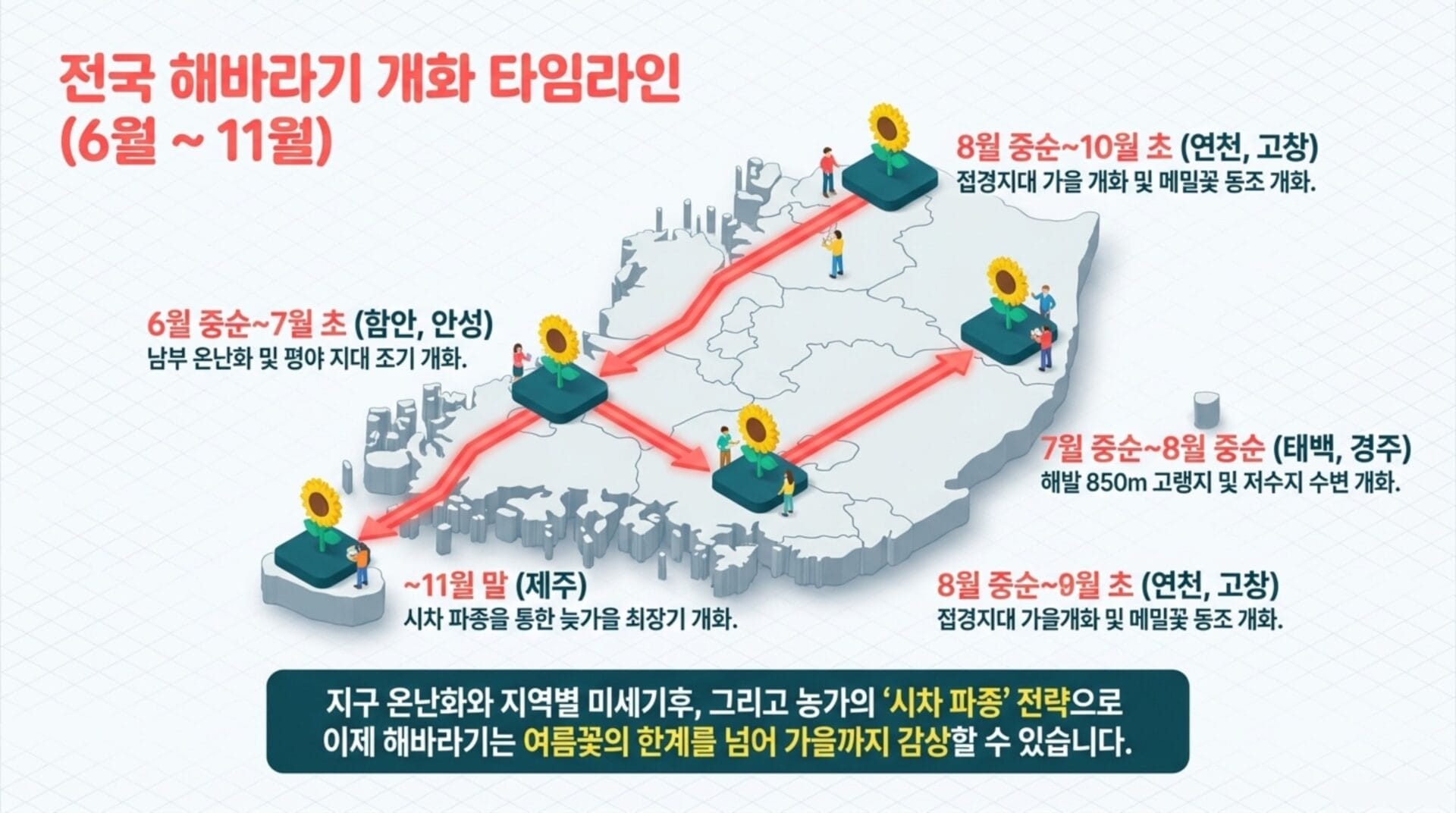 전국 해바라기 개화 타임라인 안내 이미지로, 6월부터 11월까지의 개화 일정과 지역별 행사 내용이 포함되어 있습니다. 각 지역의 개화 시기와 활동을 나타내며, 해바라기 농장 개방 일정과 관련된 정보가 시각적으로 표현되어 있습니다.