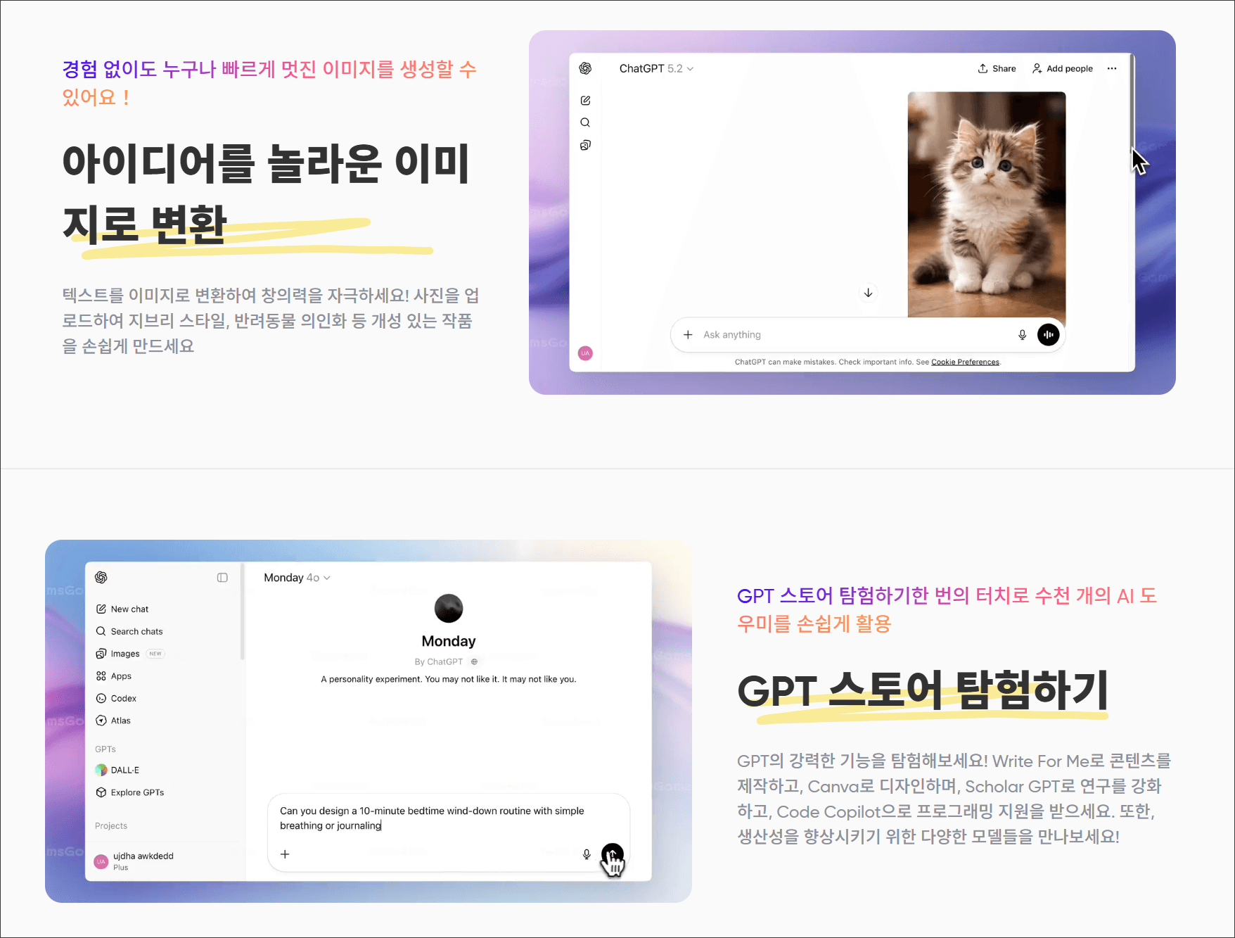 챗GPT 인터페이스에서 고양이 이미지와 함께 텍스트 입력 창을 보여주는 화면, 사용자에게 이미지 생성 및 AI 도구 활용 방법 안내.
