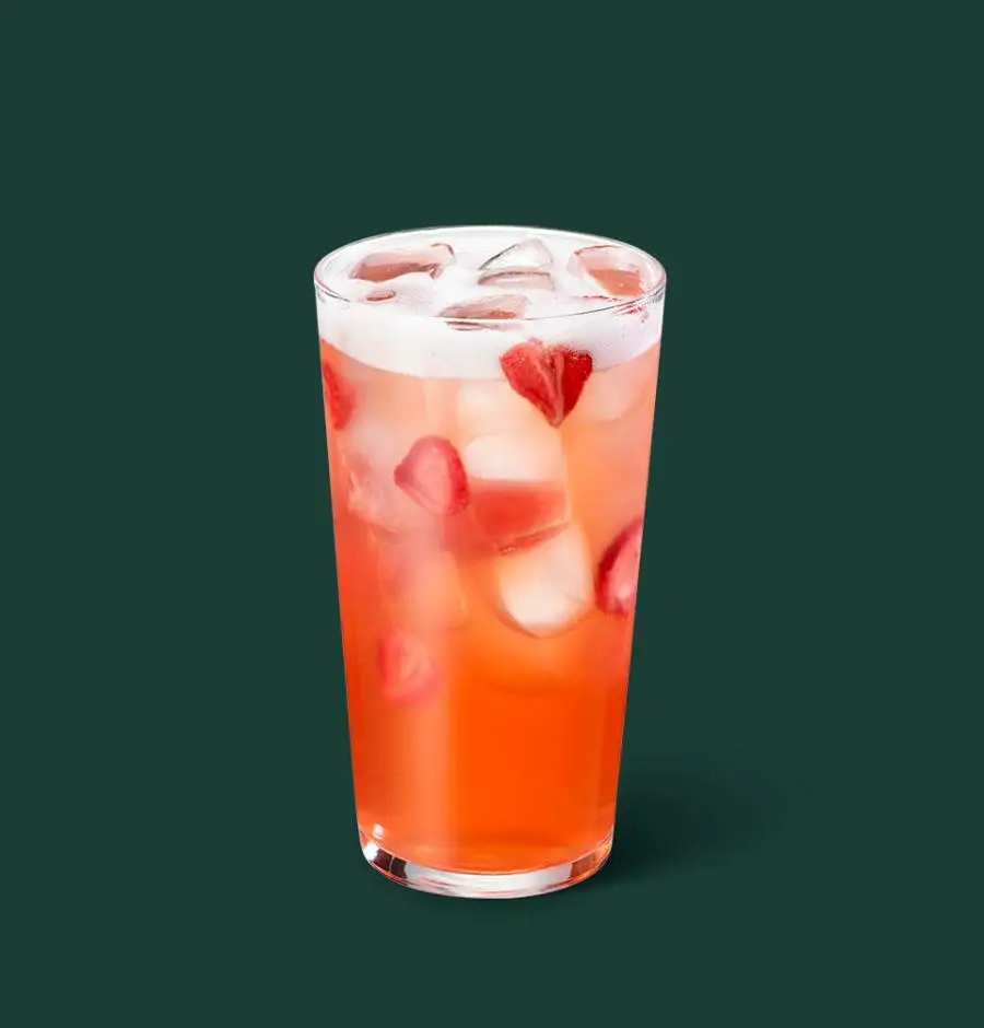 스타벅스 리프레셔