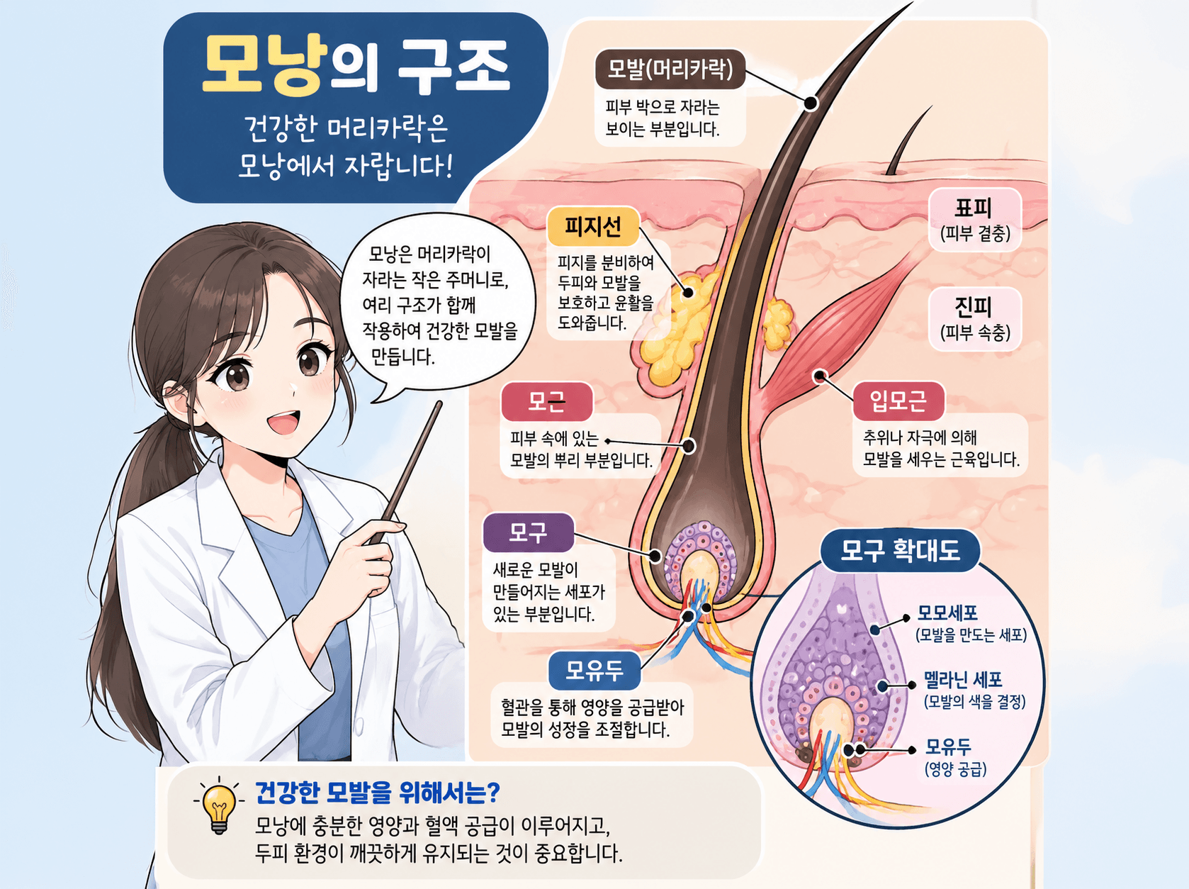 모낭 구조 설명 이미지로, 건강한 머리카락 생성을 위한 모발의 다양한 구성 요소를 시각적으로 나타냄. 이미지에는 모발, 피지선, 모근 등 각 부분의 역할과 중요성이 설명되어 있으며, 건강한 모발 유지를 위한 정보가 포함됨.