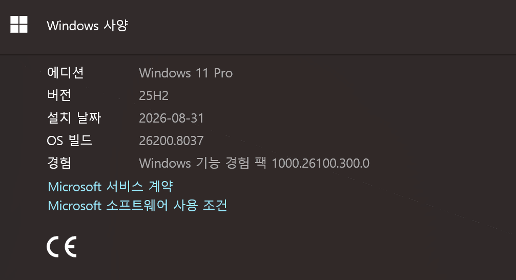 윈도우 11 프로 에디션 정보 화면, 버전 25H2, 설치 날짜 2026년 8월 31일, OS 빌드 26200.8037, Windows 기능 경험 팩 정보 포함.
