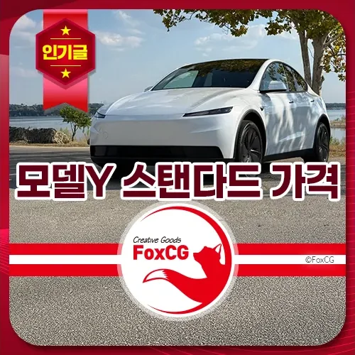 테슬라 모델Y 스탠다드