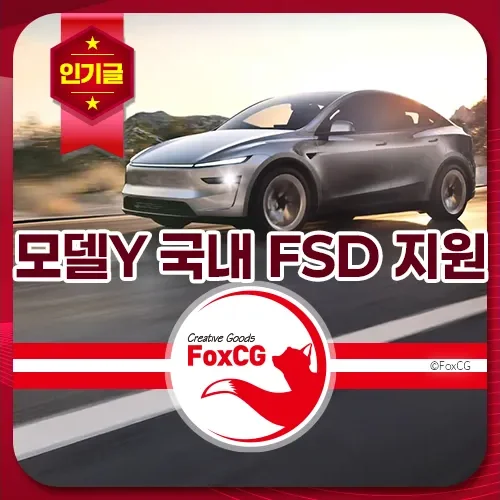 모델Y 국내 FSD 지원