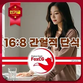 16대8 간헐적 단식 시간표 - 16:8 단식