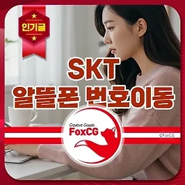 SKT 알뜰폰 번호이동 방법과 요금제 완벽 가이드