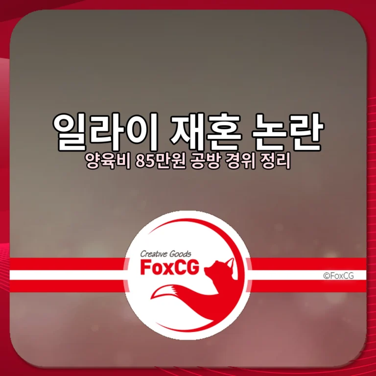 일라이 재혼 논란 양육비 85만원 공방 경위 정리 썸네일