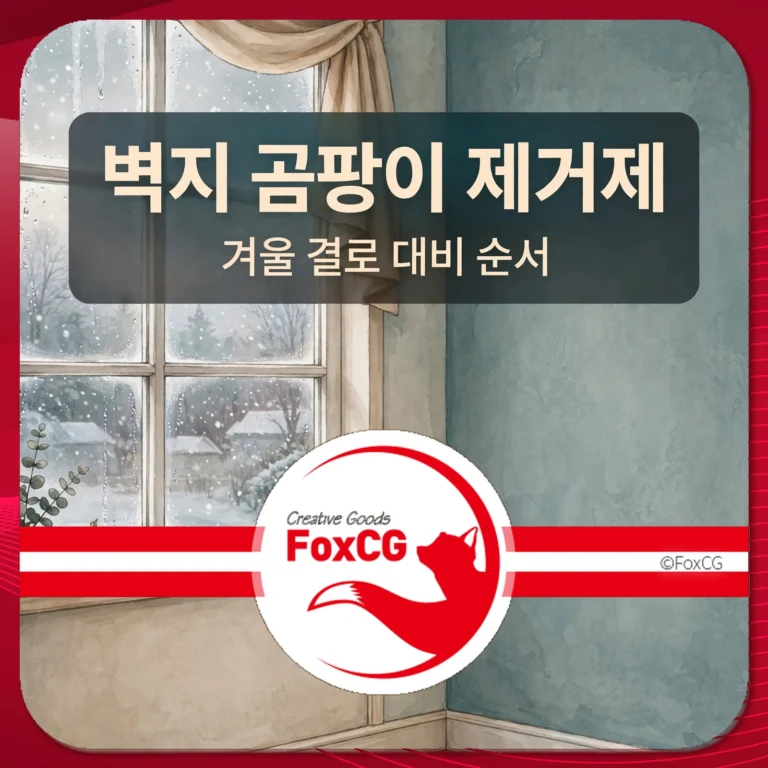 벽지 곰팡이 제거제 겨울 결로 대비 순서 썸네일
