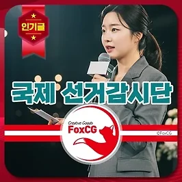 국제 선거감시단 그들의 역할과 권한은?
