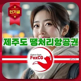 네이버 제주도 땡처리항공권 저렴하게 예약하는 꿀팁