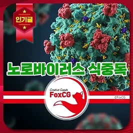 노로바이러스 식중독 증상 전염성과 특징 예방법