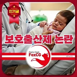 보호출산제 진행 절차와 태아 인권 침해 논란