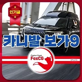 카니발 하이리무진 보가9 가격, 중고차, 장기렌트