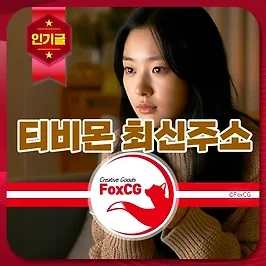 티비몬 최신주소, 우회 주소, 차단 접속 안됨 해결 - 누누티비, 티비위키